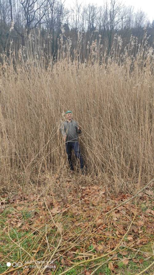 Filmorte-6.jpeg – Karim zeigte wie man die Natur für spezielle Filmszenen nutzen kann.