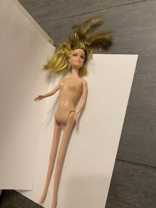 @Valentina_5A_Barbieminotaurus_eigenes Projekt_01 – Quelle: @Valentina_5A_Barbieminotaurus_eigenes Projekt_01 